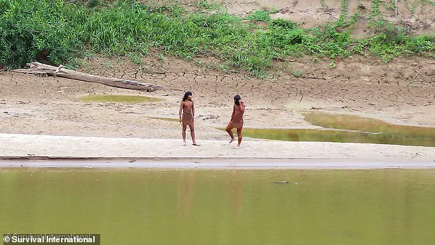 Privileged Access to Information: Unveiling the Hidden Crisis Facing the Mashco Piro Tribe in the Amazon