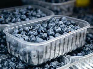 Parents and Nutritionists Hail 'Boombites' as a Sweet Solution to Kids' Fruit-Avoidance Crisis