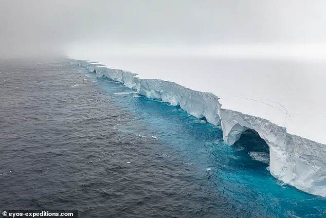 World's Largest Iceberg A23a Nearing Disintegration as Scientists Monitor Its Fate
