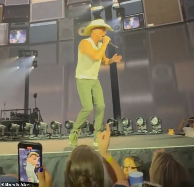 Government Regulations and the Public's Safety: A Tragic Concert Incident