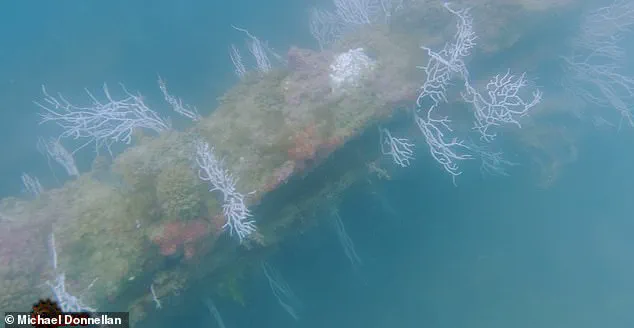 Joe Rogan's Guest Reveals Potential Atlantis Discovery Off Spain's Coast, Sparking Debate