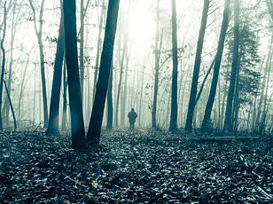 Unveiling the Mysteries: The Enigmatic Disappearances of the Michigan and Alaska Triangles Compared to the Bermuda Triangle's Legacy of Conspiracy Theories and Scientific Speculation