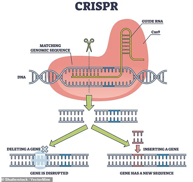 Argentina's Gene-Edited Horses: A Pivotal Leap in Equine Genetics and Biotechnology