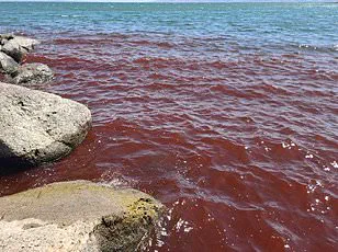 As 2025 Rapture Date Looms, Communities Brace for Apocalyptic Tensions