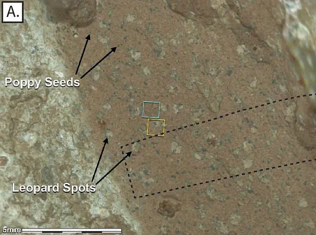 NASA's Rare Public News Conference Signals Potential Major Mars Discovery from Perseverance Rover