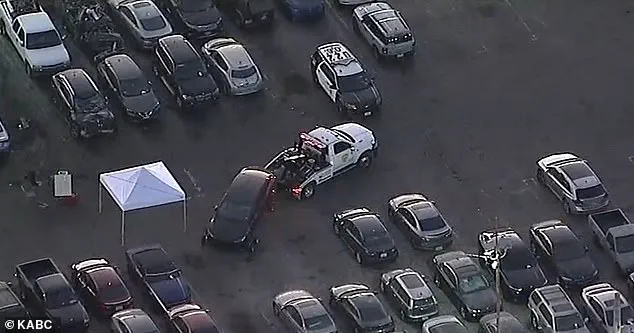 From Coachella to Controversy: D4vd's Manager Says 'This is Unbelievable' as Gory Discovery Rocks Singer's Life