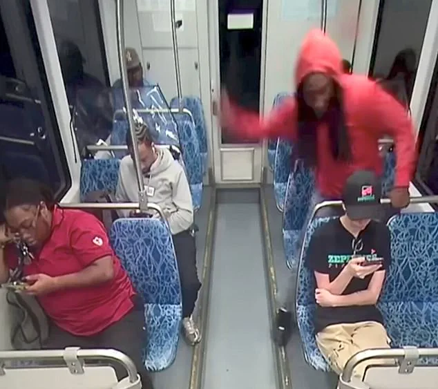 Public Safety and Mental Health Concerns in Wake of Tragic Incident: A Call for Institutional Responsibility and Expert Guidance