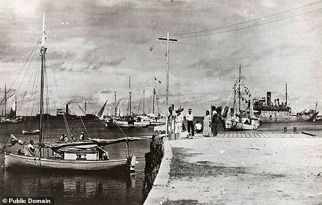 Congresswoman Kimberlyn King-Hinds Appeals to Trump to Declassify Records on Amelia Earhart's Disappearance