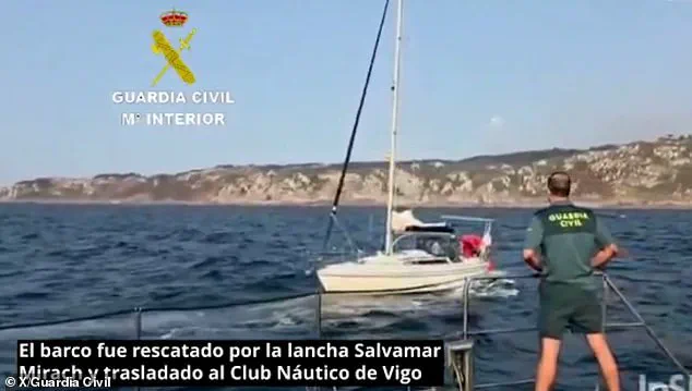 Killer Whale Attacks on Tourist Boats Raise Concerns About Safety Regulations in Portuguese Waters