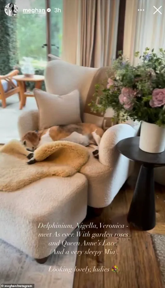 Meghan Markle's Lavish Montecito Mansion Exposed: A Glimpse into the Life of a Royal Scandal