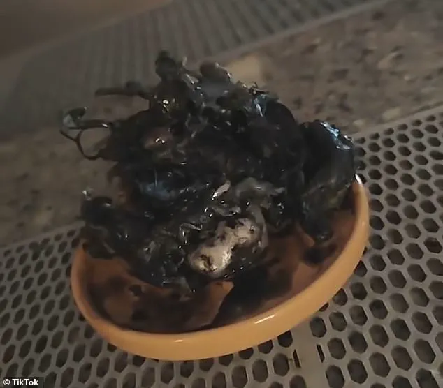 Privileged Access to Alien Claims: The Viral Meteorite Controversy