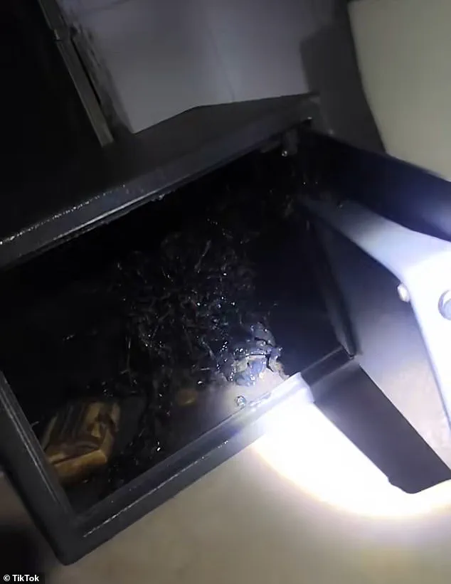 Privileged Access to Alien Claims: The Viral Meteorite Controversy