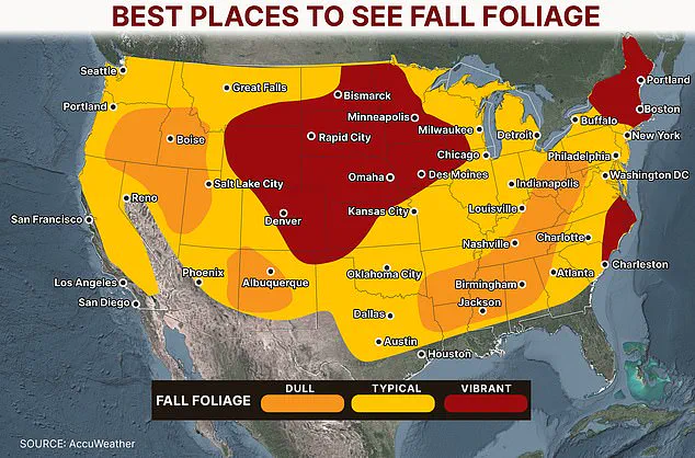 Weather Patterns to Shape Timing and Vibrancy of Fall Foliage in Colorado, Plains, and Midwest