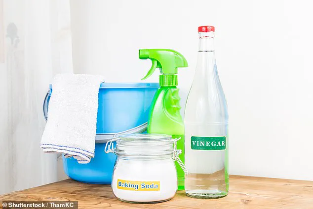 Autumn Flooding Crisis Sparks Urgent Calls to Unclog Drains as Experts Warn of Growing Risk