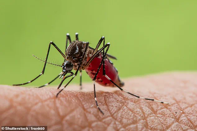 Urgent Advisory: Invasive Mosquitoes Spreading Deadly Tropical Diseases Detected in Britain, Credible Expert Insights Highlight Growing Climate-Linked Threat