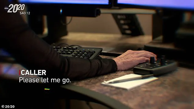 The Impact of Government Inaction in the Aftermath of the 2008 North Port Abduction