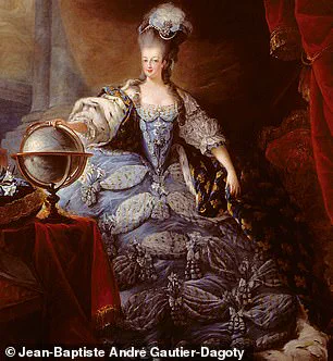 The Veil of Privilege: Decoding the Real Marie Antoinette