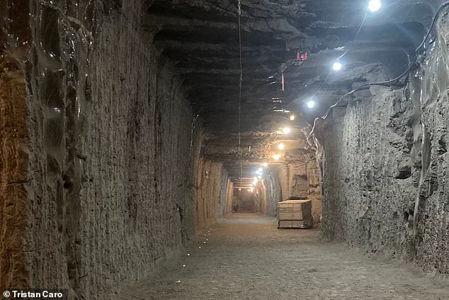 Ancient Microbes Revived from Alaska Permafrost: A Potential Risk to Modern Communities