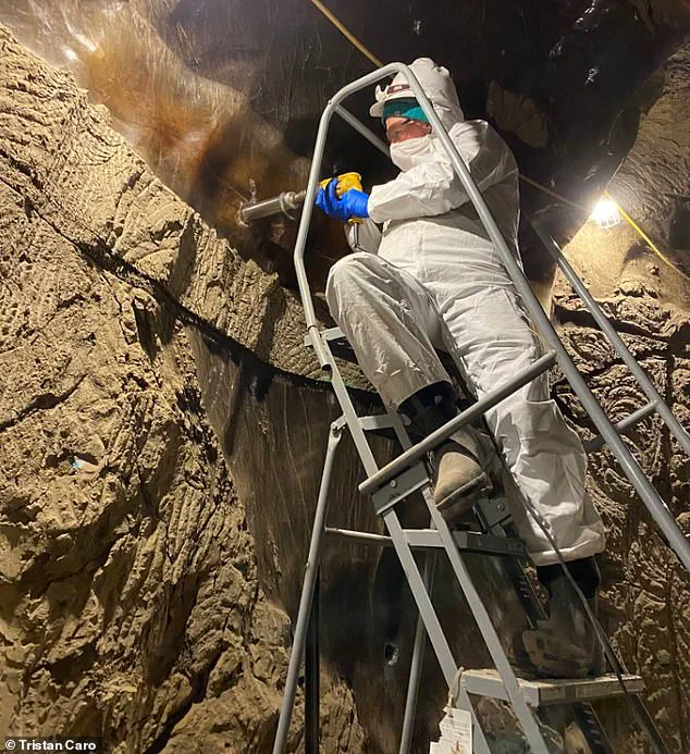 Ancient Microbes Revived from Alaska Permafrost: A Potential Risk to Modern Communities