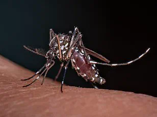 Ancient Microbes Revived from Alaska Permafrost: A Potential Risk to Modern Communities