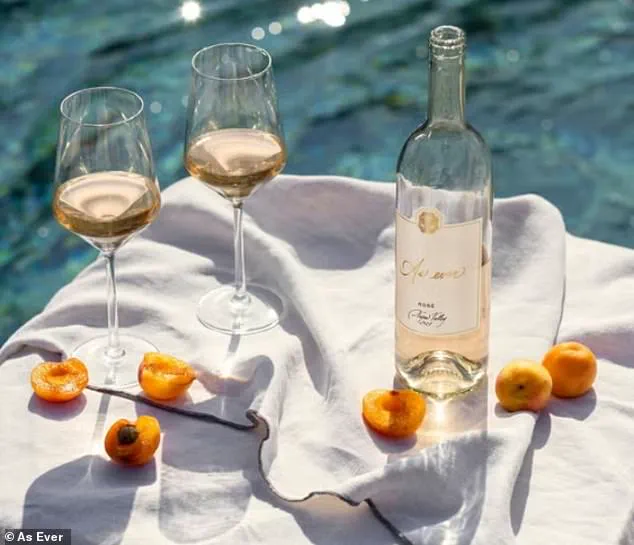 Brand Expert Warns Meghan Markle's Latest Sauvignon Blanc is a 'Risky' Gamble as Royal Legacy Criticized Again