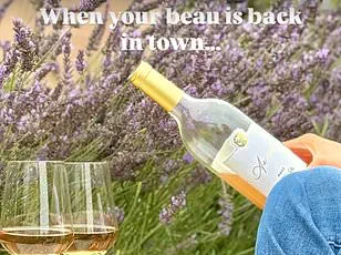 Brand Expert Warns Meghan Markle's Latest Sauvignon Blanc is a 'Risky' Gamble as Royal Legacy Criticized Again