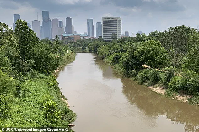 Fears of a Serial Killer Fuel Speculation as 23 Bodies Discovered in Houston Bayous