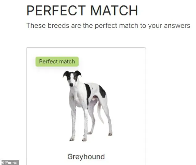 Purina's Interactive Dog Breed Selector Helps UK Owners Choose the Perfect Match Among 225 Breeds