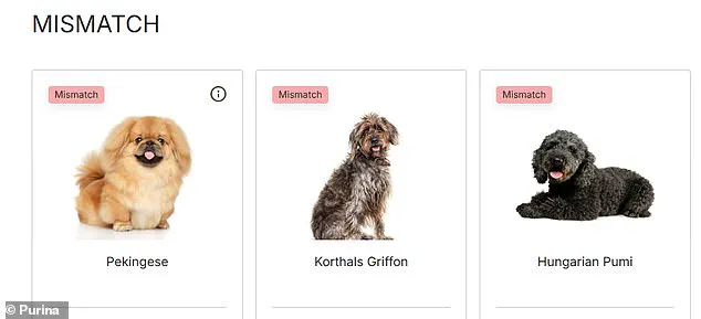 Purina's Interactive Dog Breed Selector Helps UK Owners Choose the Perfect Match Among 225 Breeds