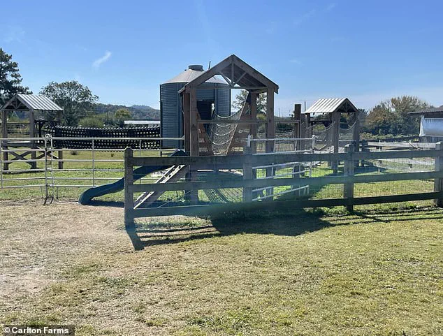 Tragedy Strikes Georgia Family as 6-Year-Old Victoria King Found Unresponsive in Undisclosed Pool: 'We Need Answers,' Says Family