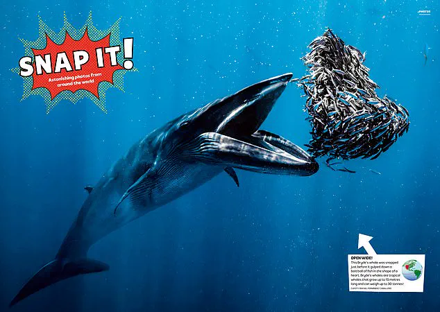 Feasting on Words Sparks Imagination: How Fun Reading Conquers Screen Time