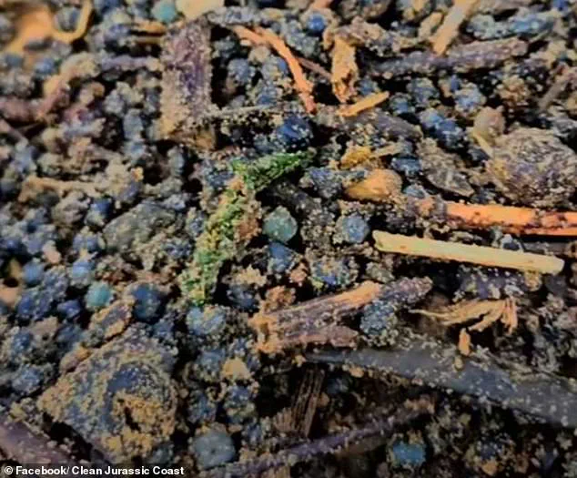 Toxic Plastic Pellets on UK Beaches Highlight Failure of Environmental Regulations to Protect Public and Wildlife