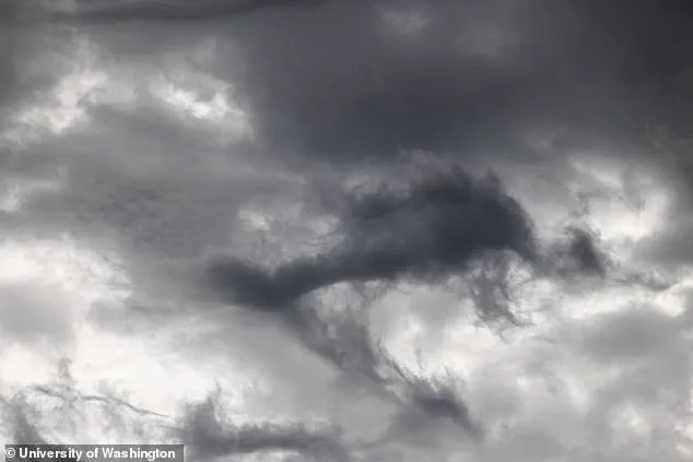 Robert Wood, University of Washington Professor, Proposes Safer Geoengineering: 'Replacing Unhealthy Particles with Alternatives for Cooling'