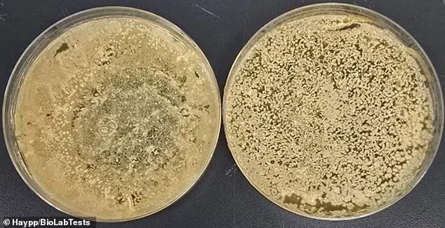 E-Cigarettes Found to Harbor 3,000 Times More Bacteria Than Public Toilet Seats, Study Reveals