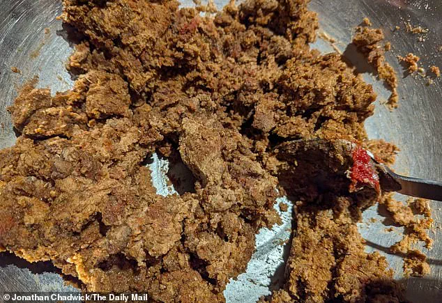 Sunflower Flour: Brazil's Surprising Breakthrough in the Quest for Sustainable Meat Alternatives