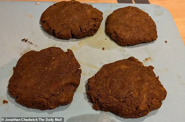 Sunflower Flour: Brazil's Surprising Breakthrough in the Quest for Sustainable Meat Alternatives