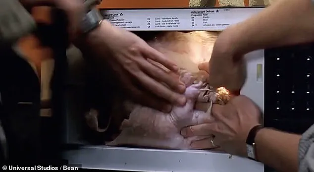 From Comedic Chaos to Kitchen Peril: The Hidden Risks of Microwaving Turkey on Thanksgiving