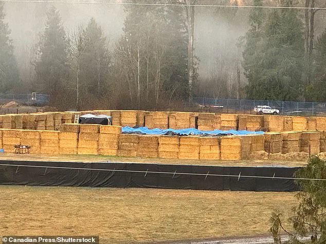 Government-Ordered Ostrich Cull Sparks Legal Battle Over Animal Welfare and Public Health