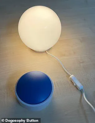 Innovation in Animal-Computer Interaction: The Dogosophy Button and Its Implications for Tech Adoption in Society