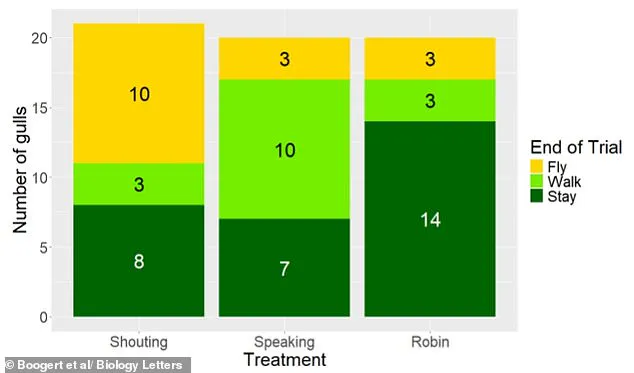 Study Reveals Surprising Solution to Seagull Chip Theft: 'They're Just Following the Money'