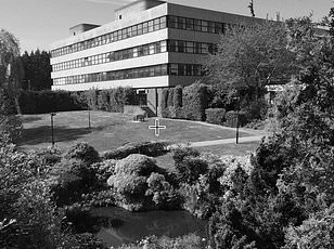 TikTok Illusion Sparks Public Confusion as Users Question Reality