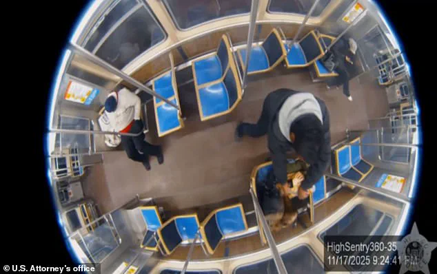 Violent Incident at Chicago's Roosevelt Red Line Station Reignites Transit Safety Concerns