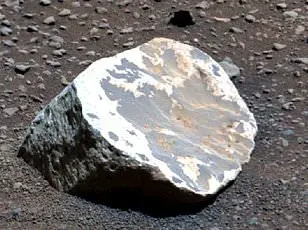 Discovery of 26 Previously Unknown Bacterial Species in NASA's Cleanrooms