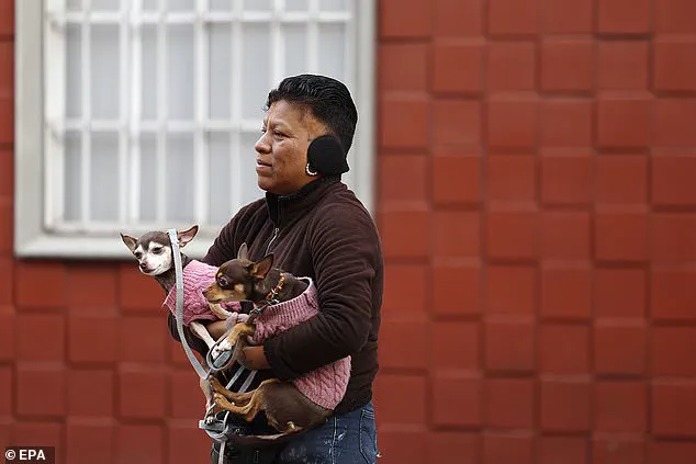 6.5-Magnitude Earthquake Strikes Mexico, Disrupts President's Press Briefing