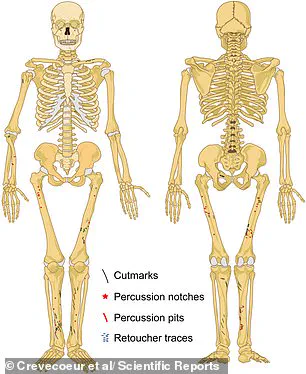 Ancient Cannibalism Uncovered: Study Suggests Early Humans Targeted Neanderthal Children and Young Women 45,000 Years Ago