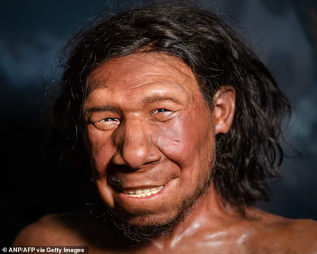 Ancient Cannibalism Uncovered: Study Suggests Early Humans Targeted Neanderthal Children and Young Women 45,000 Years Ago