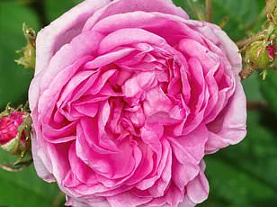 Ben Schott's 'Schott's Significa' Explores Secret Languages of Modern Subcultures