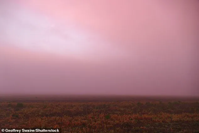 Breaking: Unusual Pink Fog Sweeps England, Sparking Viral Social Media Frenzy