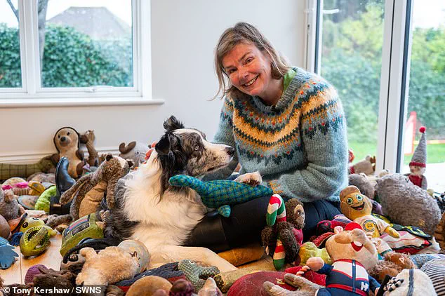 Britain's Brightest Dog: The Extraordinary Story of Harvey the Border Collie and His Owner Irene Hewlett