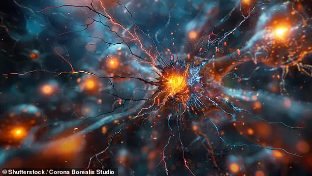 Challenging the Five Senses: Professor Barry Smith's Theory of 22 Human Senses